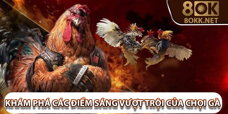 Khám phá các điểm sáng vượt trội của chọi gà online